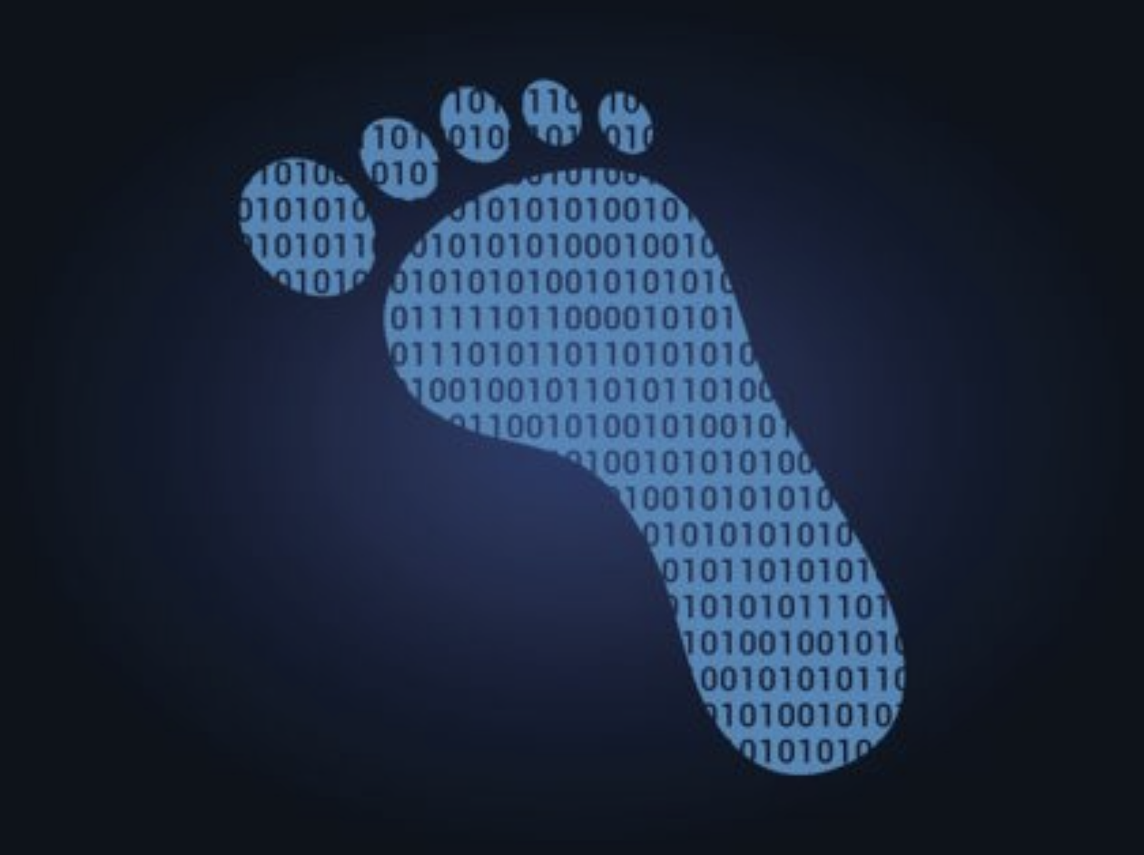 Digital Footprint Risk Management